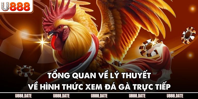 Xem Đá Gà Trực Tiếp | Thưởng Thức Trận Gà Đỉnh Cao Online 2 Tổng quan về lý thuyết về hình thức xem đá gà trực tiếp